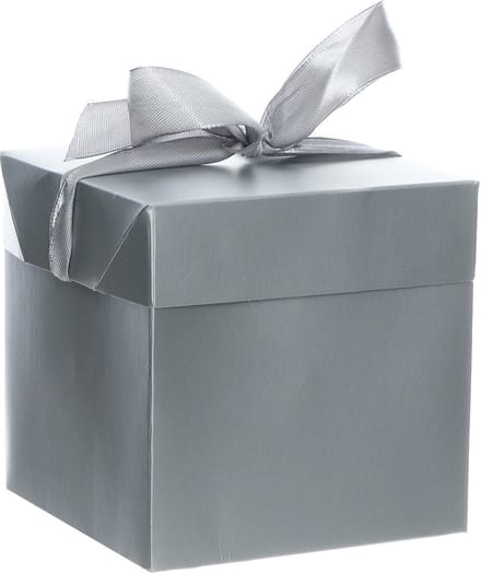 Set van 2 Verpakkingsdozen – Cadeaudozen met Lint - 10x10cm