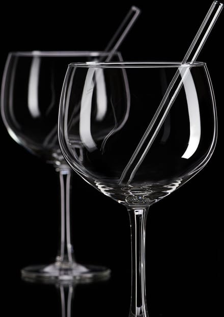 Gin tonic glazen 65 cl set van 2 met rietjes Tonic