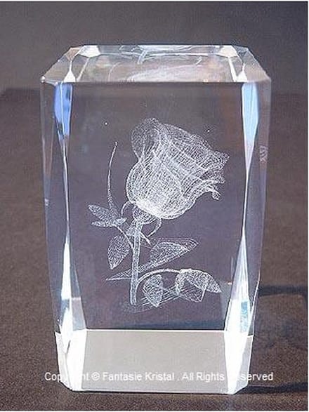 Laserblok roos