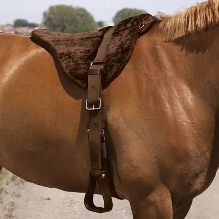 Zadeldek voor paarden zonder zadel Norton