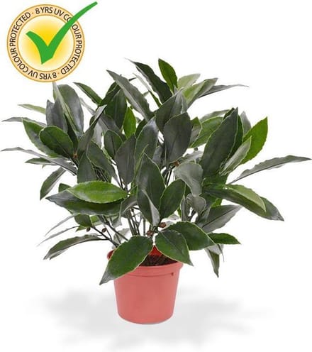 Laurier kunstplant 35cm - UV bestendig