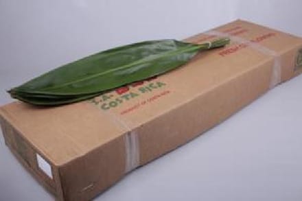 1x Sg cordy.green tie 80cm
