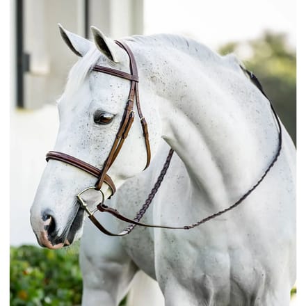 Hoofdstel Horseware Hunter