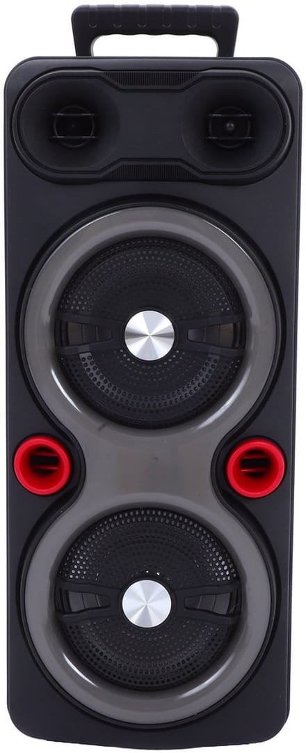 Draagbare Outdoor Speaker - 2x 6.5" Bas, RGB Verlichting, TWS, Karaoke Microfoon - Zwart