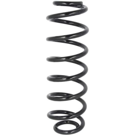 Chassisveer MAGNUM TECHNOLOGY SW134