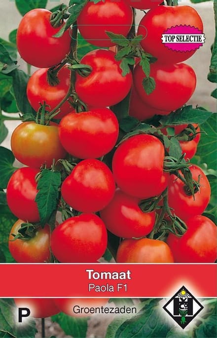Van Hemert - Tomaat Paola F1