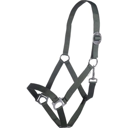 Halster voor paarden HKM Stars Economy