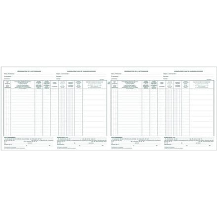 Register Piqure aandeelhouder NV/SA 250x320mm 80vel groen