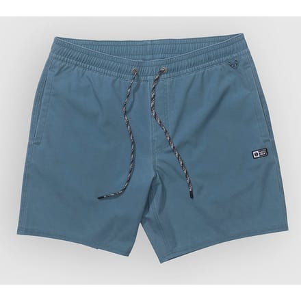 Salty Crew Seadog Volley Boardshorts zwart
