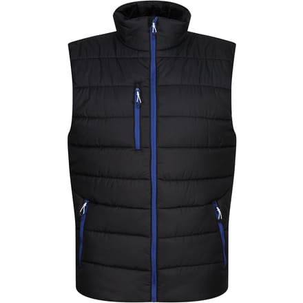 Regatta Thermische bodywarmer Navigate voor heren (Zwart/Nieuw Royal)