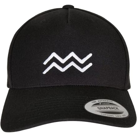 Mister Tee - Zodiac Aquarius Snapback Pet