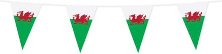 Wefiesta - Vlaggenlijn Wales 20 x 30 cm (10 meter)