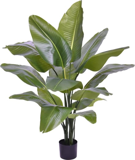Strelitzia Nicolai XL Kunstpalm 125cm