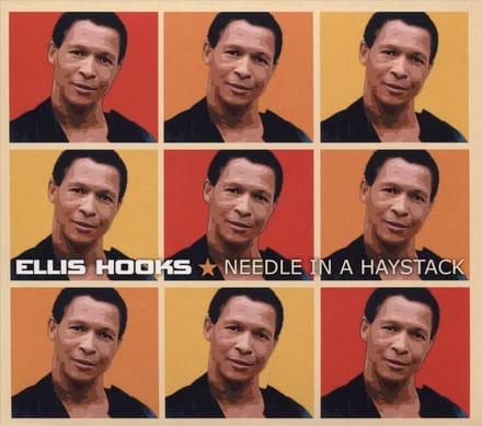 Needle in a Haystack