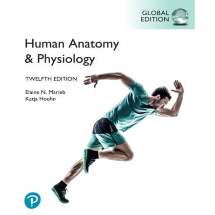 Human Anatomy & Physiology, Global Edition - Elaine Marieb