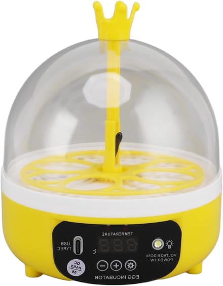 Digitale Mini Eieren Incubator met Temperatuurregeling voor Kippen, Eenden en Duiven - Handmatige Rotatie voor 4 Eieren