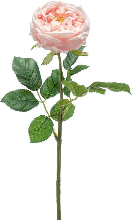 Emerald - Kunstbloem Roos Jenny RT 60cm peach - Kunstplant voor binnen