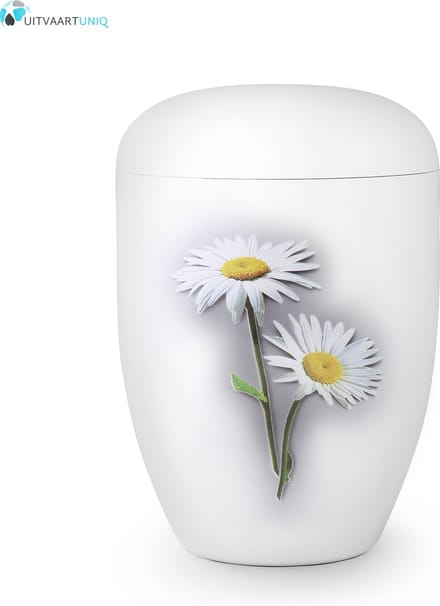 Eco urn wit madelief - bio (biologisch afbreekbaar)