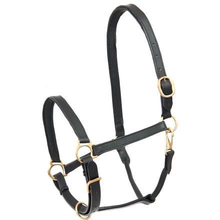 Leren halster voor pony Star Robust