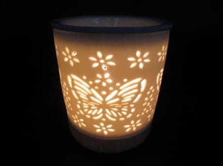 Oliebrander wit vlinders