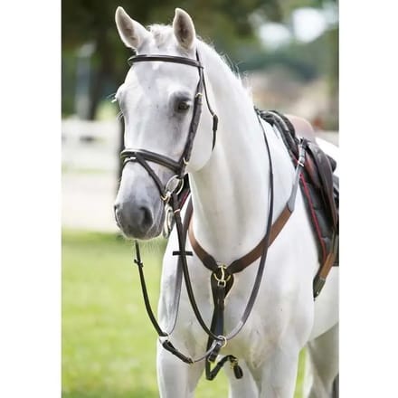 Elastische jachthalsband voor paarden met martingaal Tattini