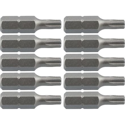 Labor schroefbit TX20x25mm (10 Stuks)