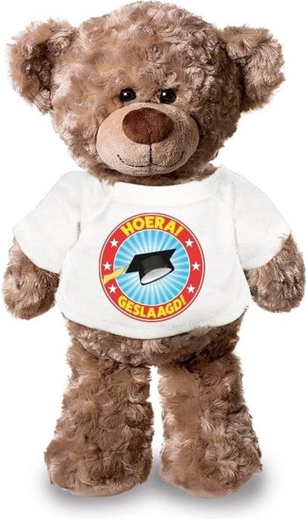 Knuffel teddybeer - geslaagd - 24 cm - pluche - met shirt - eindexamen - afstuderen