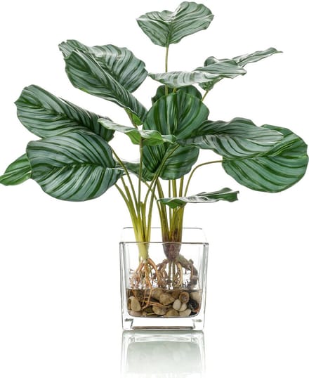Kunstplant Calathea 45 cm in glas