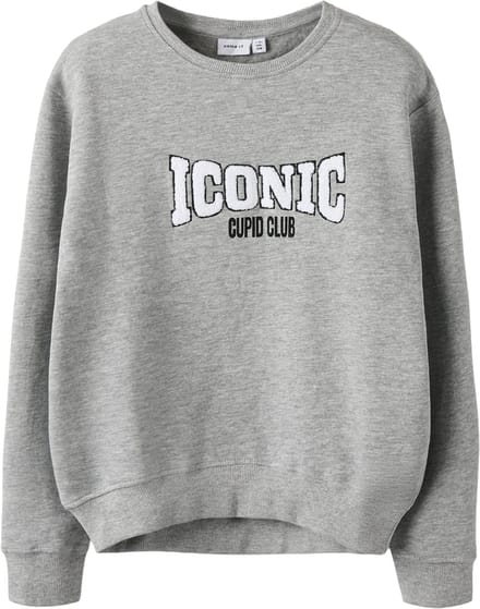 NAME IT - NKMBCUPID LS NREG SWEAT BRU - Jongens - Sweaters - Maat 146/152