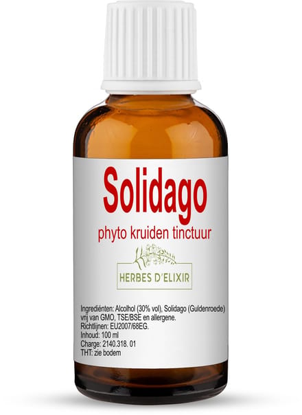 Herbes D'elixir Solidago Tinctuur – 100 ml – 1 Fles – Natuurlijke ondersteuning voor de urinewegen
