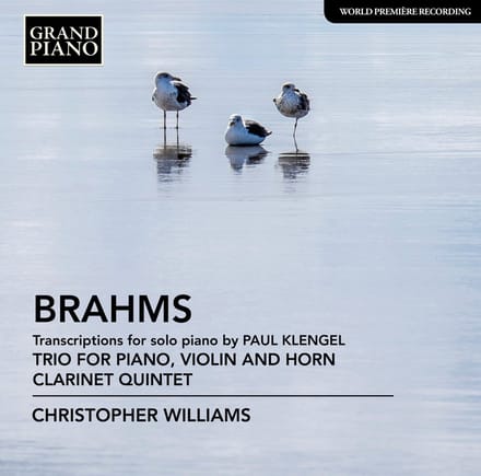 Christopher Williams - Brahms: Transcriptions For Solo Piano By Paul Klengel | Trio For Violin, Horn And Piano | Clarinet Quintet (CD)