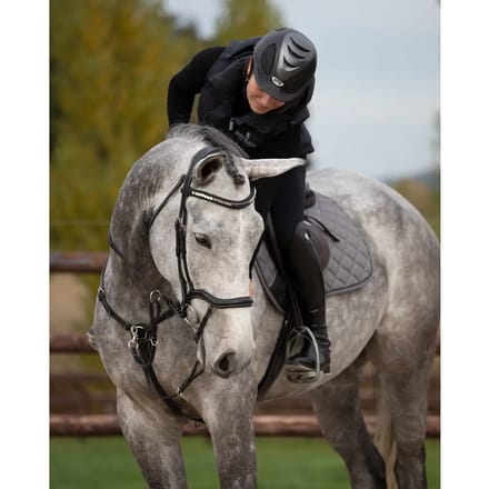 Frontaal voor paard HFI Padded Wave + Strass
