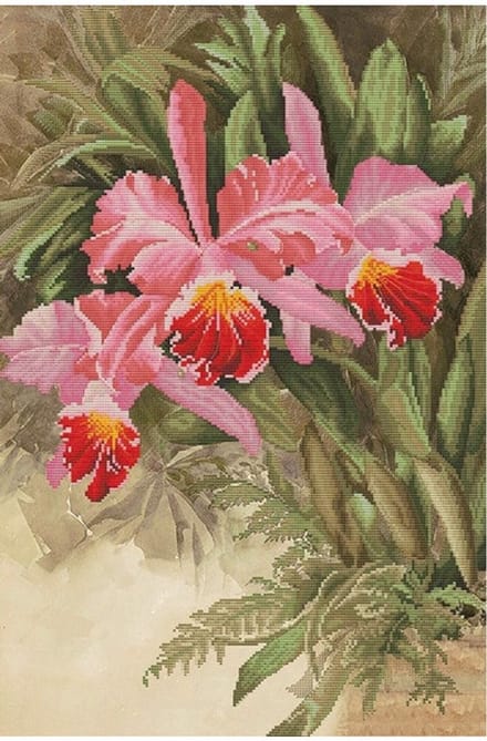 Borduurpakket Tropische orchidee
