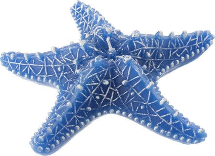 J-Line kaars Zeester - blauw - large - 3U