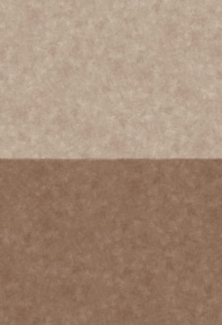 Boråstapeter Vliesbehang 5092 - Chalk - Modern Beige - 45cm x 2.65m