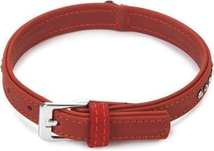 Beeztees Buffalo Strass - Hondenhalsband - Rood - 30-36 cm x 17 mm