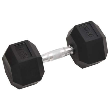 vidaXL - Halters - 17,5 - kg - gietijzer