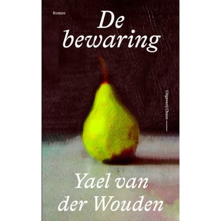 De Bewaring - Yael van der Wouden