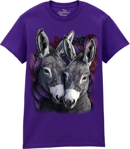 Ezels Donkey Pair The Coloured House T-shirt S