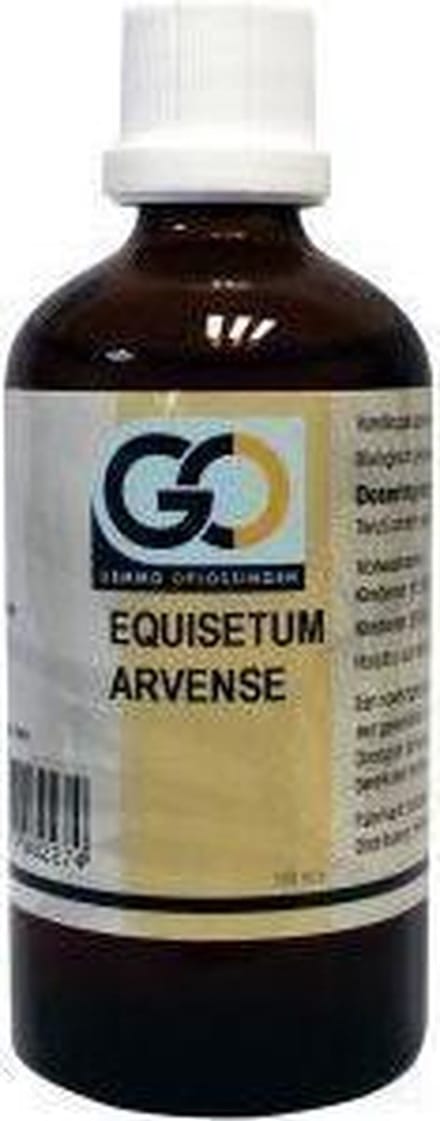 GO Equisetum arvense 100 ml