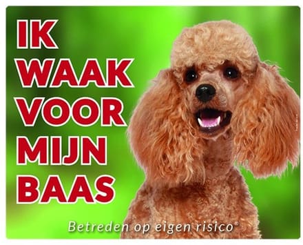 Poedel Abricot Waakbord - Ik waak voor mijn baas
