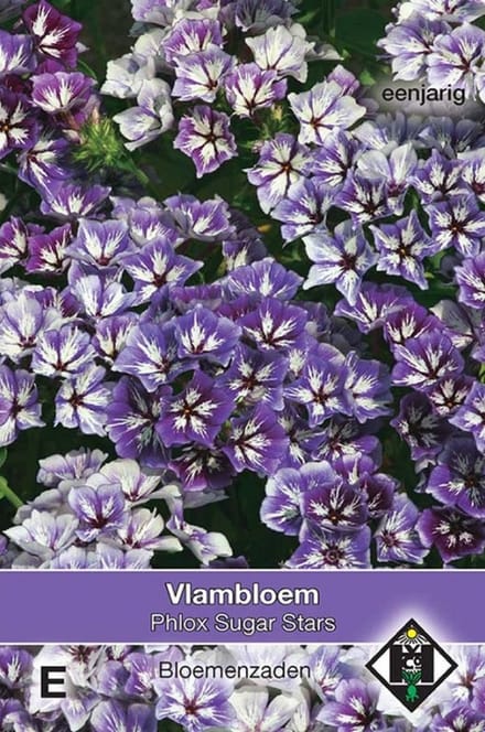 Van Hemert & Co - Vlambloem Sugar Stars (Phlox drummondii)