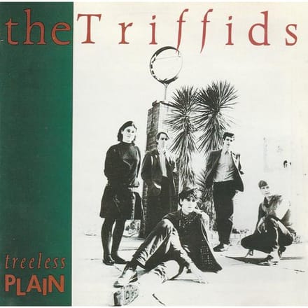 CD TRIFFIDS - Treeless Plain D19936 Mushroom Australia Rock Gebruikt gray