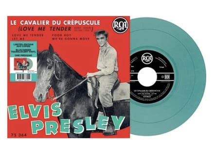 Le Cavalier Du Crépuscule