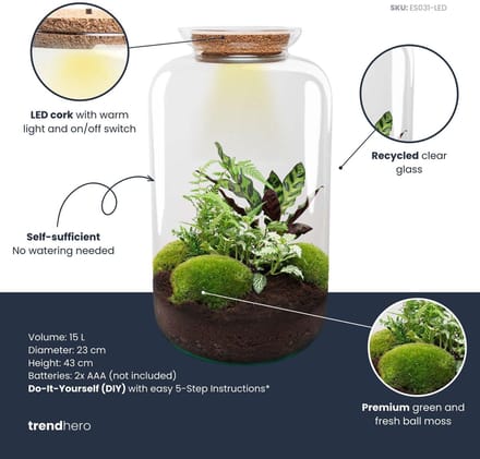 DIY terrarium - Botanical Sven XL - ↑ 43 cm