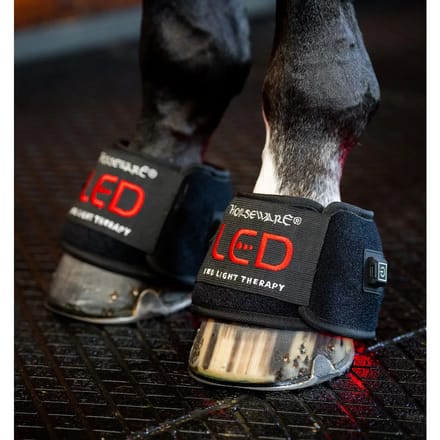Lichttherapie klokken voor paard mini paar Horseware (x2)