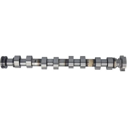 Nokkenas  FRECCIA CM05-2358