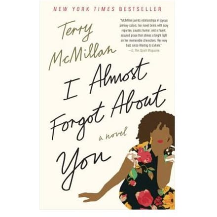 I Almost Forgot About You - Terry McMillan