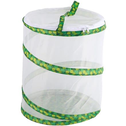 Net Insect Vlinder Habitat Kooi Inklapbare Insecten Huisvesting Behuizing Kweekkooien white