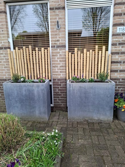 Masters of Bamboo® Bamboe Paal Moso - 400 cm - Ø 7-9 cm